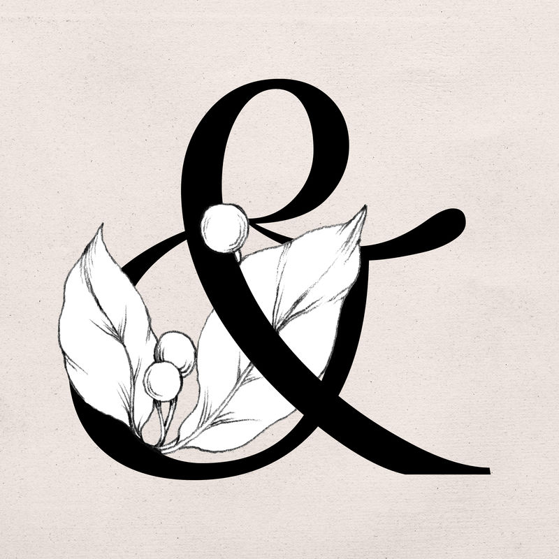 符号花卉装饰排版