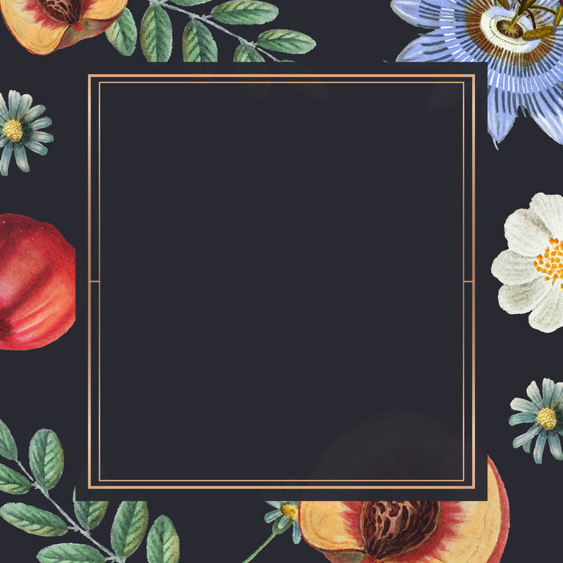 带有社交媒体横幅的水果和花架复古插图