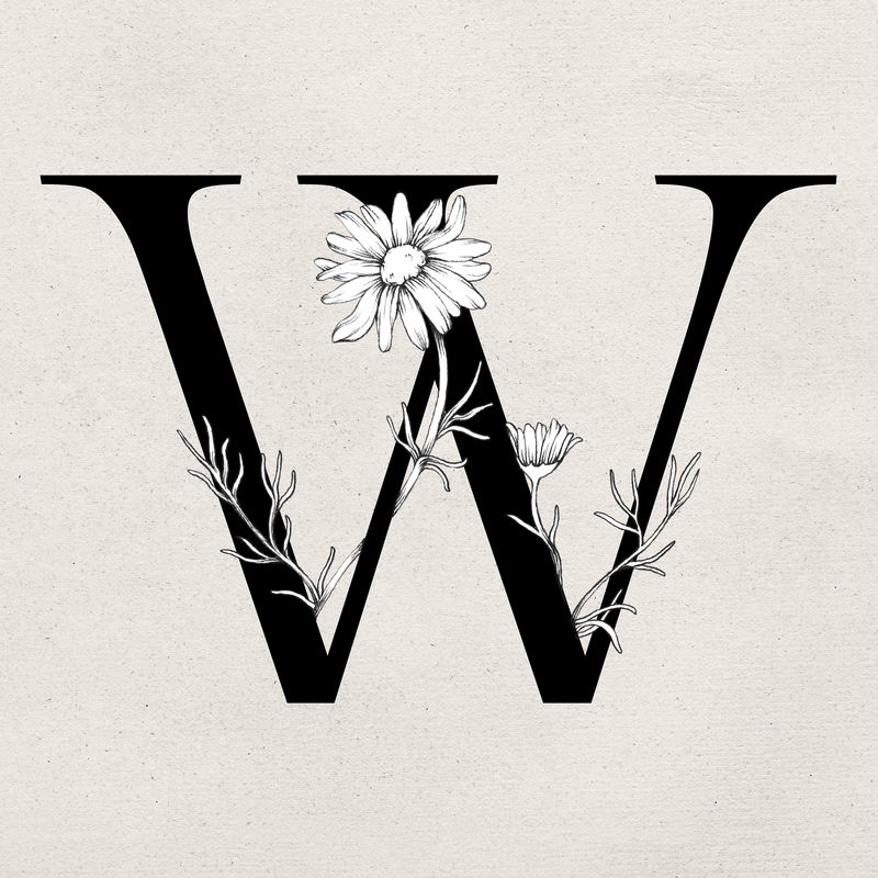 字体w复古字母花卉排版