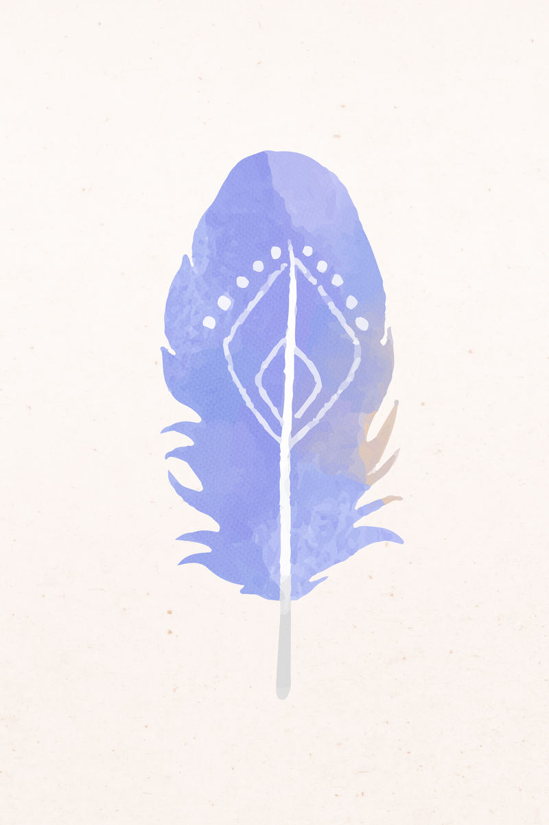 粉彩波希米亚羽毛设计插图