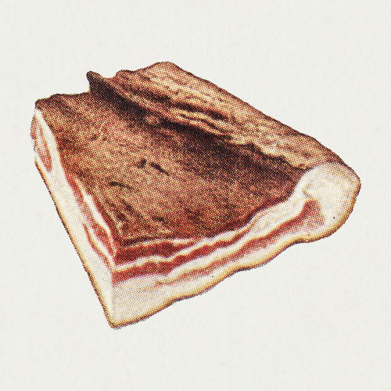 复古侧面切割插图