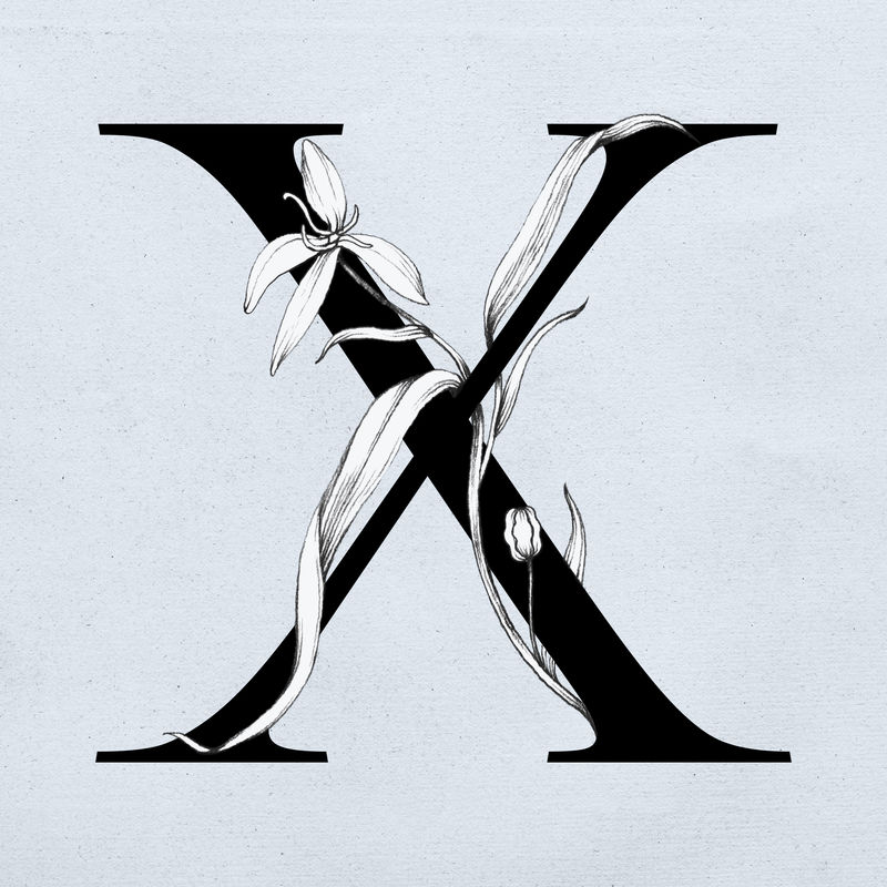 字体x复古字母花卉排版