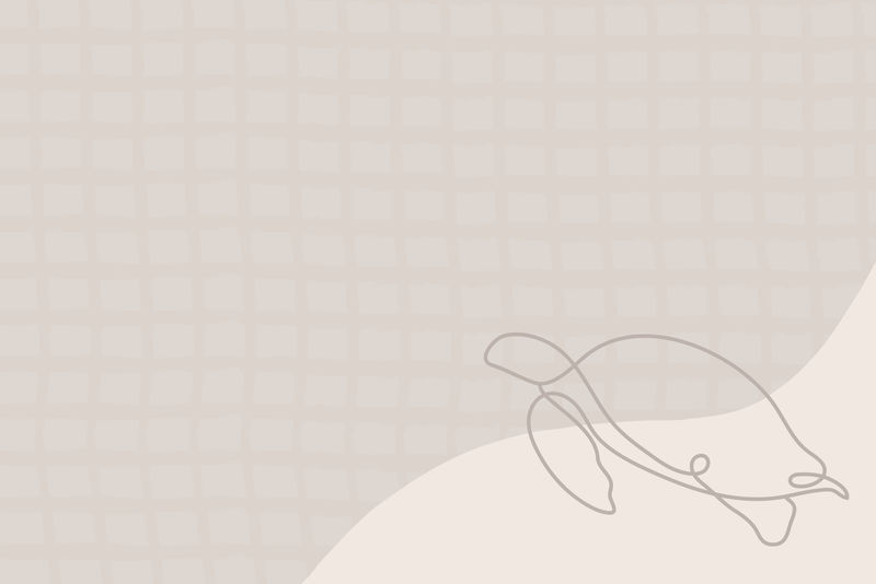 审美龟米色背景设计