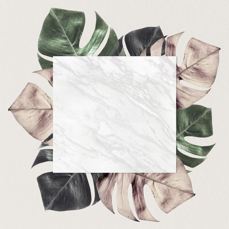 金属开叉叶图案背景插图上的方形框架