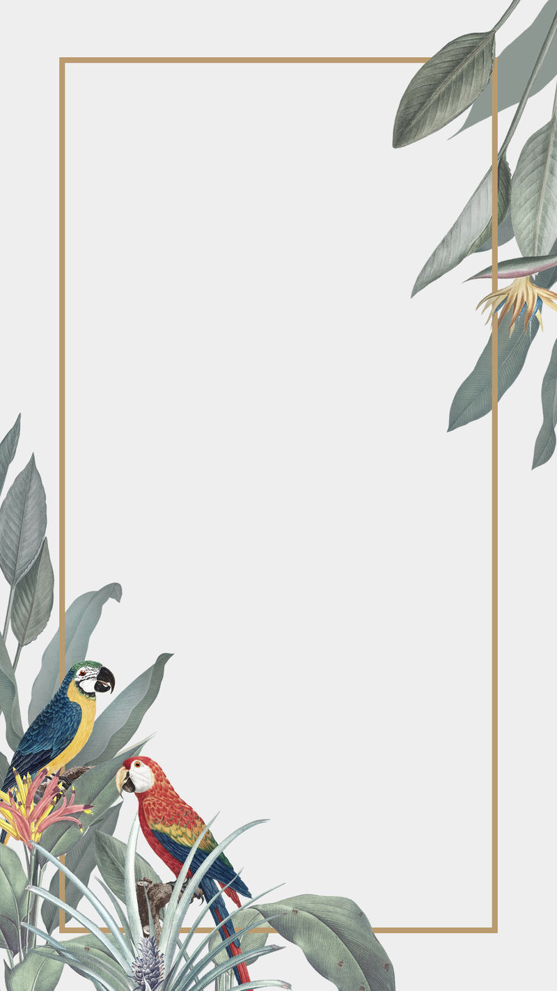 热带天堂横幅框架插图