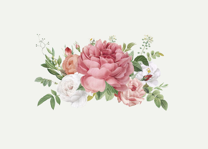 复古绽放玫瑰设计元素插图