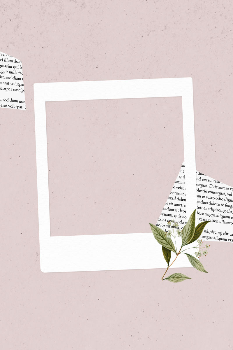 粉红色背景上的空白拼贴相框模板圆形矢量