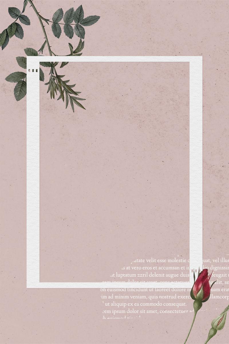 基于粉色背景向量的空白拼贴相框模板