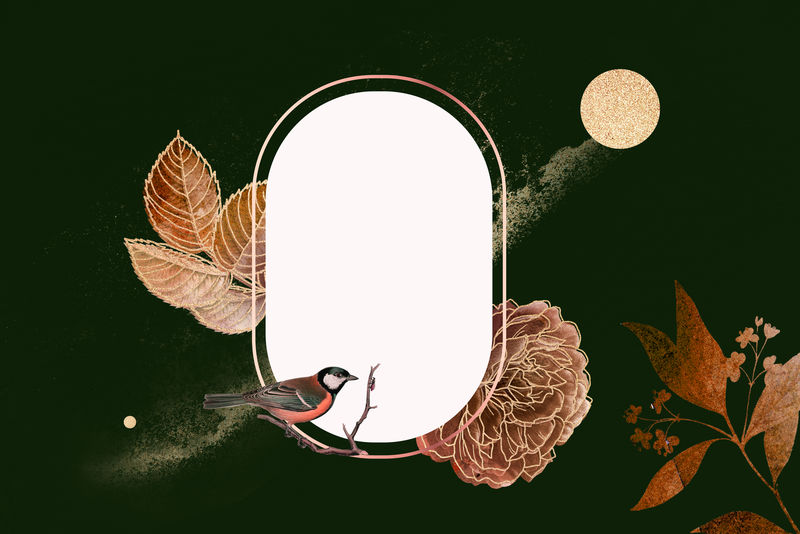 空白的金色花框与鸟向量