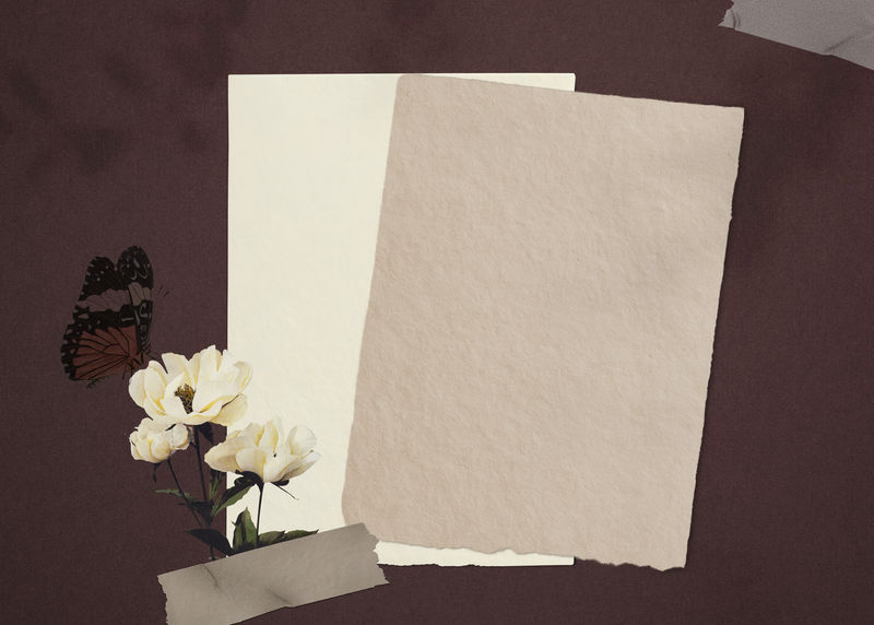 蝴蝶与白色牡丹和棕色纸背景插图