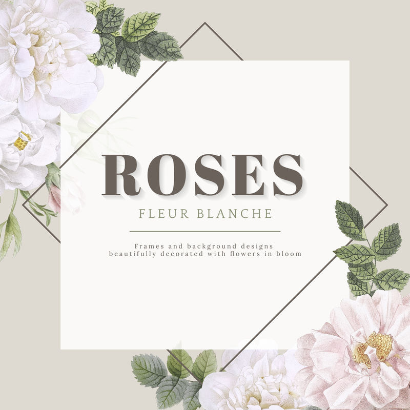 花卉婚礼请柬实物插图