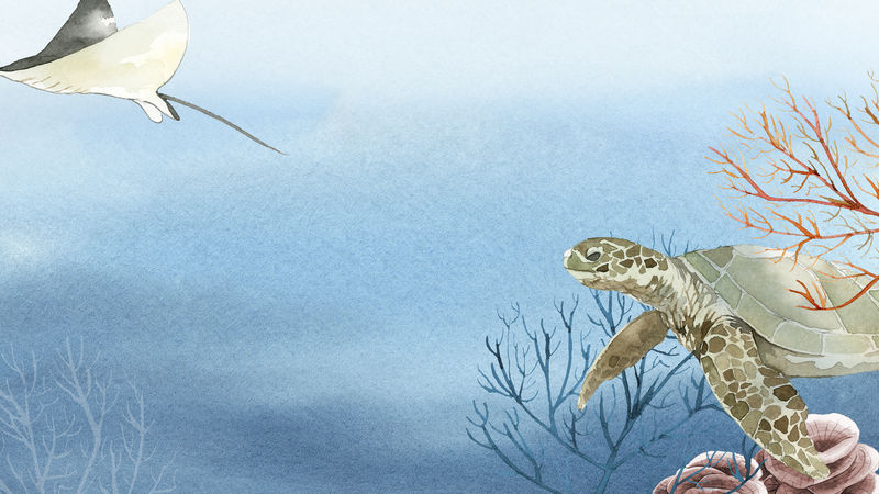 水彩画海洋生物和珊瑚旗帜模板