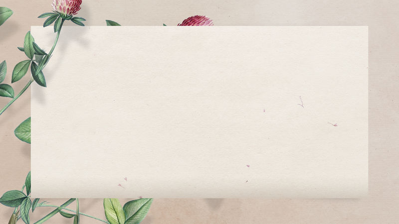 空白三叶草矩形框壁纸插图