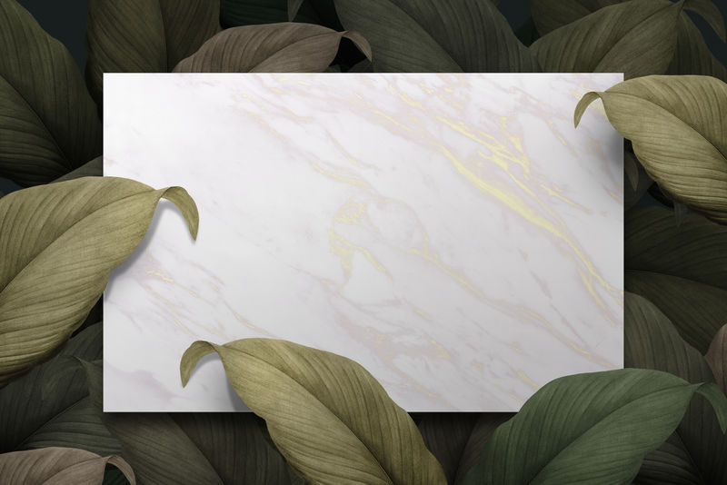 热带树叶背景上的白色大理石花纹纸