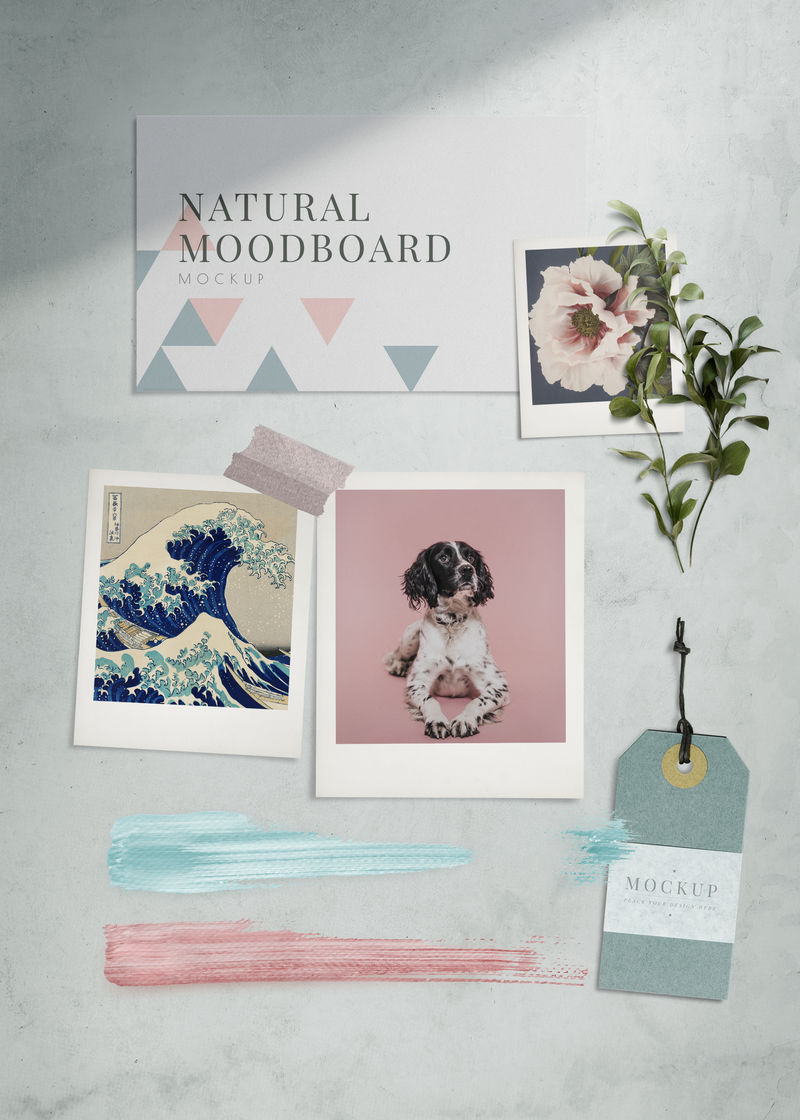 天然纸板模型插图集