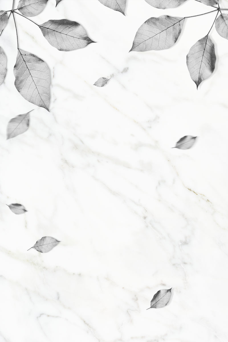 金属银叶图案背景插图