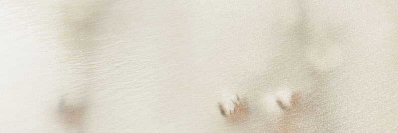 模糊奶油圣诞背景横幅电子邮件标题