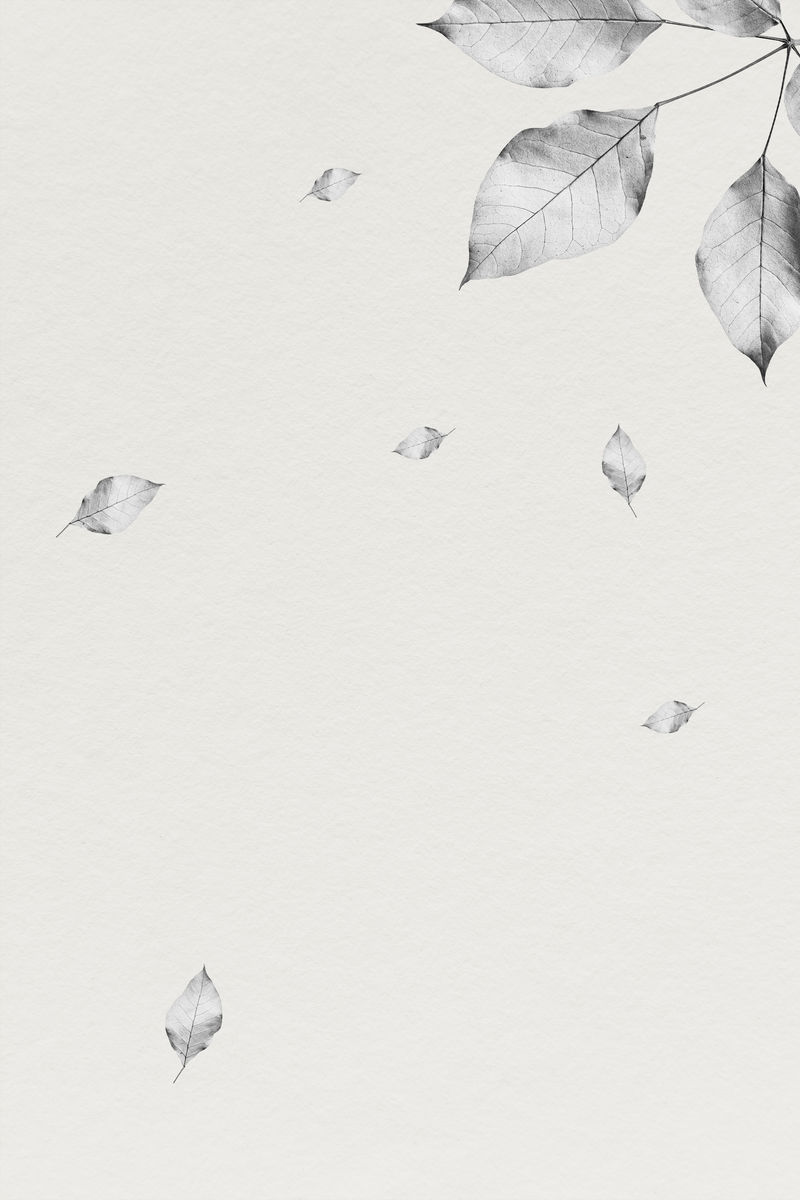 金属银叶图案背景插图