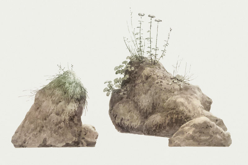 手绘水彩杂草丛生的岩石设计元素
