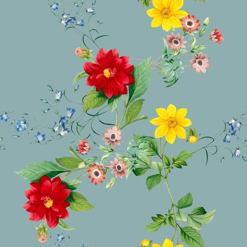 红色和黄色大丽花壁纸插图