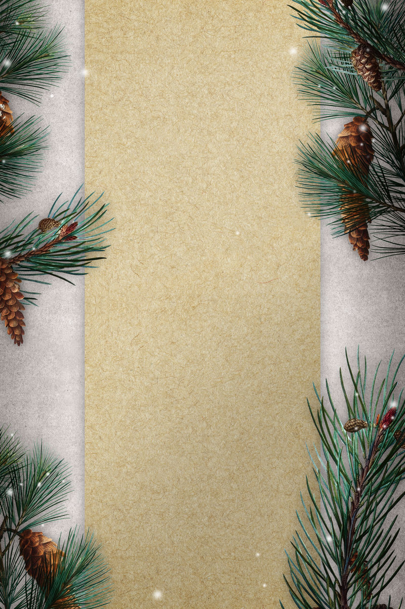 空白金色圣诞框架设计