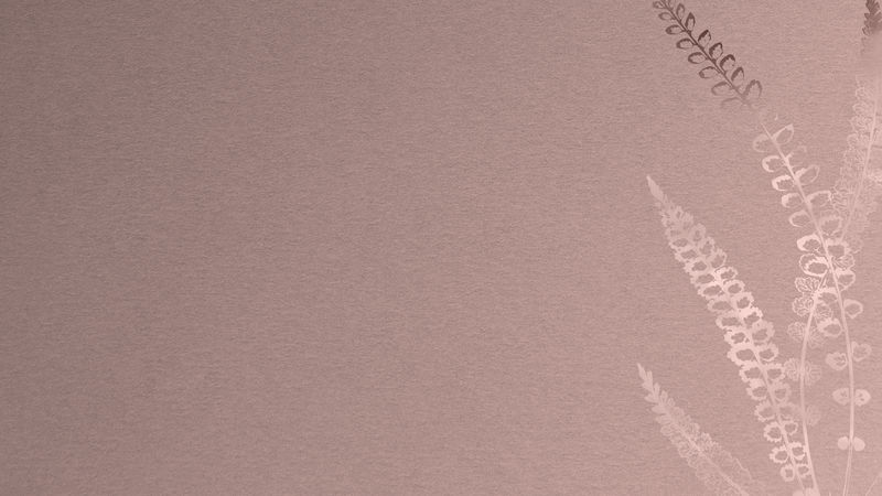 玫瑰金背景上的紫苏蕨框架