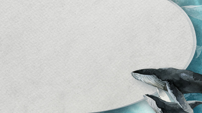 水彩画驼背鲸在纸横幅模板