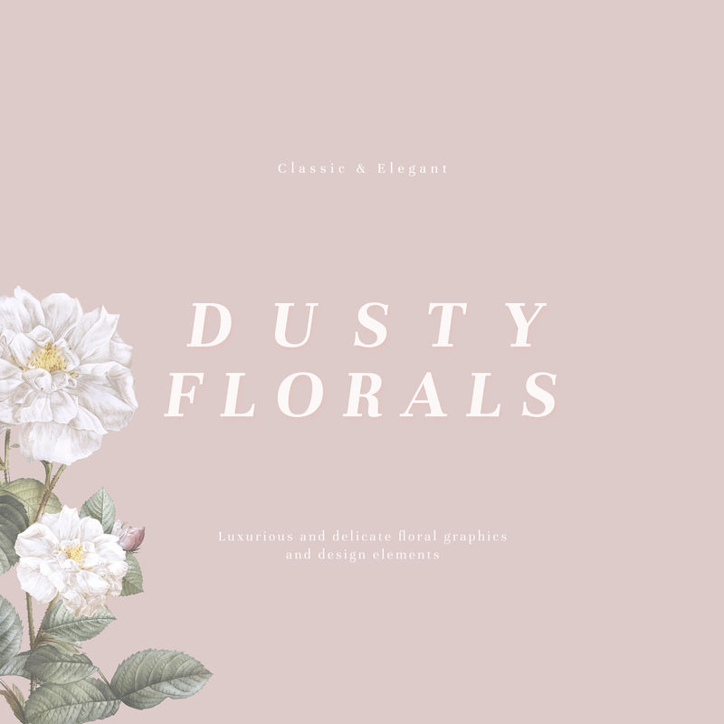 优雅的灰尘花卉框架设计插图