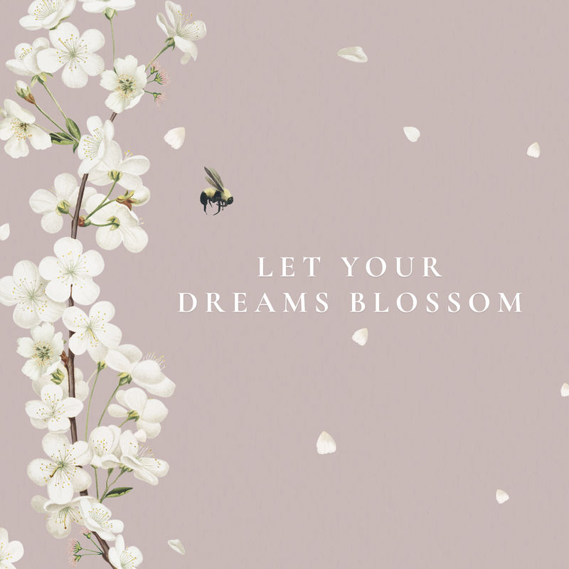 让你的梦想开花