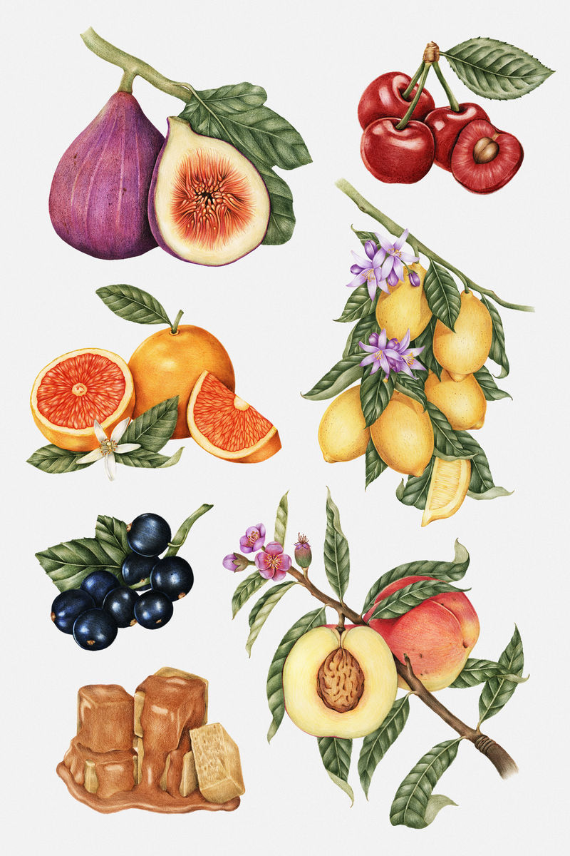 带白色边框的手绘水果贴纸