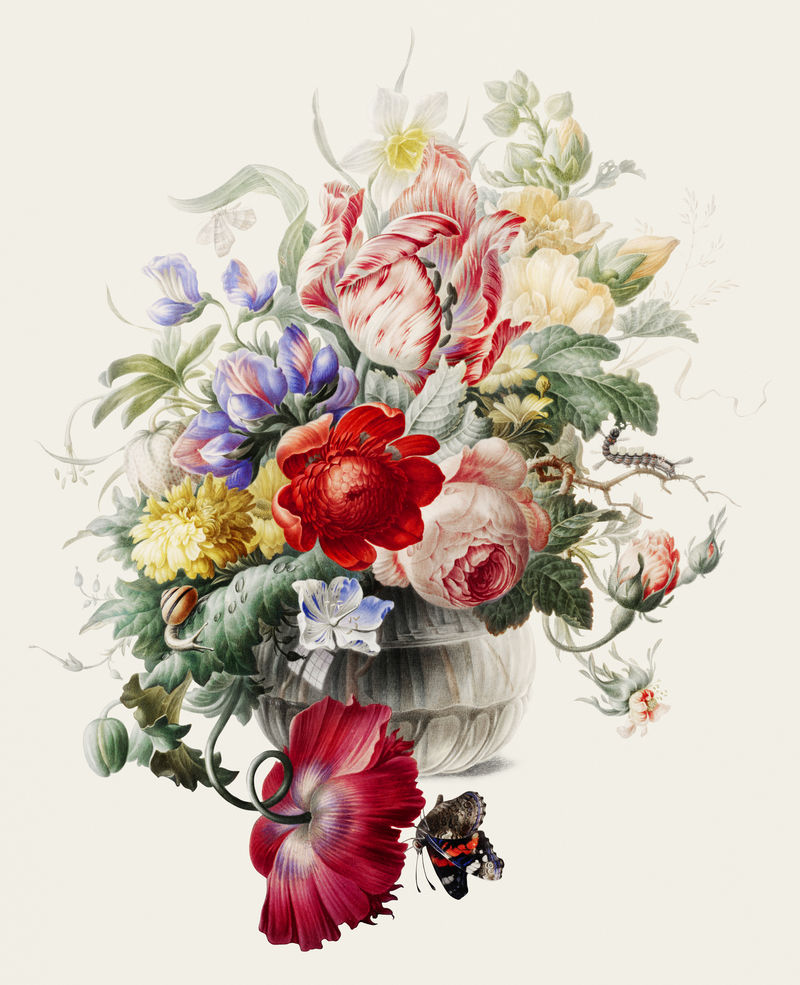 玻璃花瓶里的花的老式插图