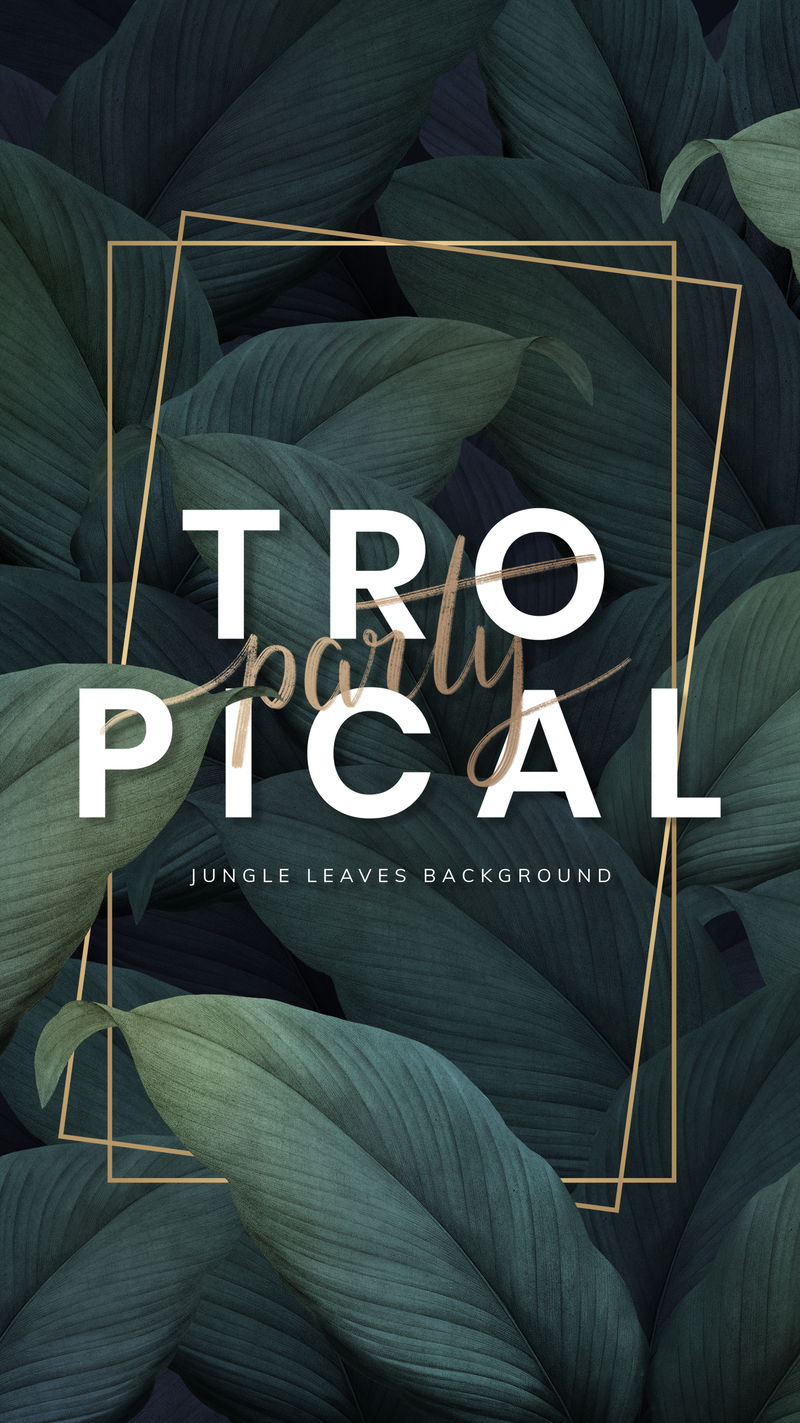 热带派对广告留有图案的海报