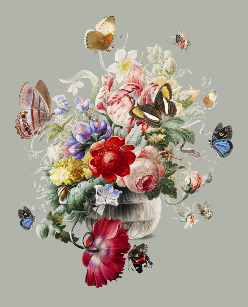 玻璃花瓶里的花的老式插图