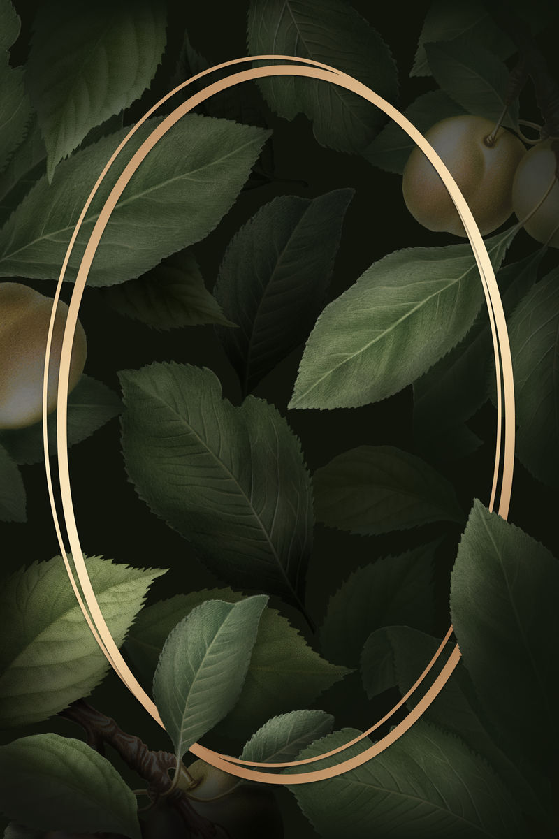 briançon杏图案背景模板上的金框