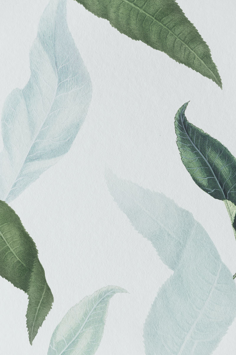 灰底桃枝社会模板插画