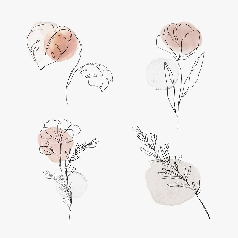 花卉线条艺术psd植物水彩最小插图集