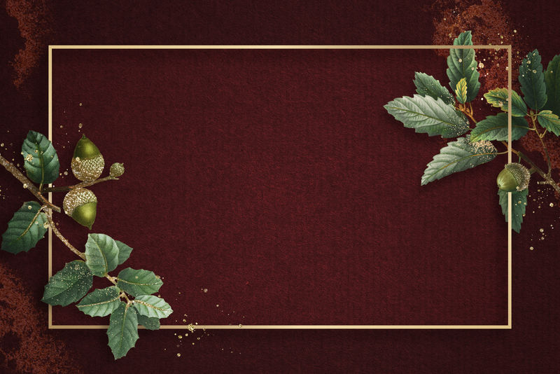 手绘橡木叶图案红色背景上有矩形金框插图