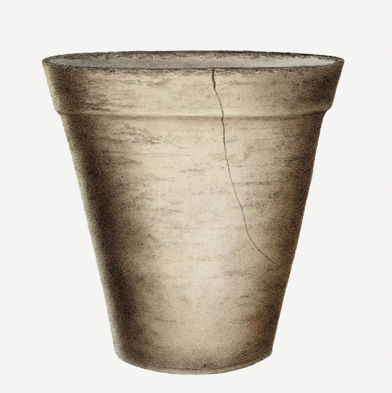 复古花盆psd插图由Annie B的艺术作品混合而成