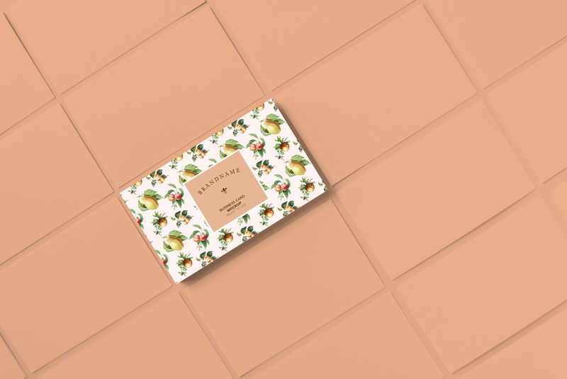 复古水果名片模板模型