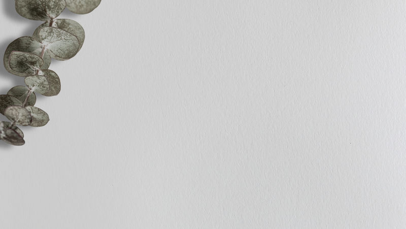 桉树社会旗帜灰色背景