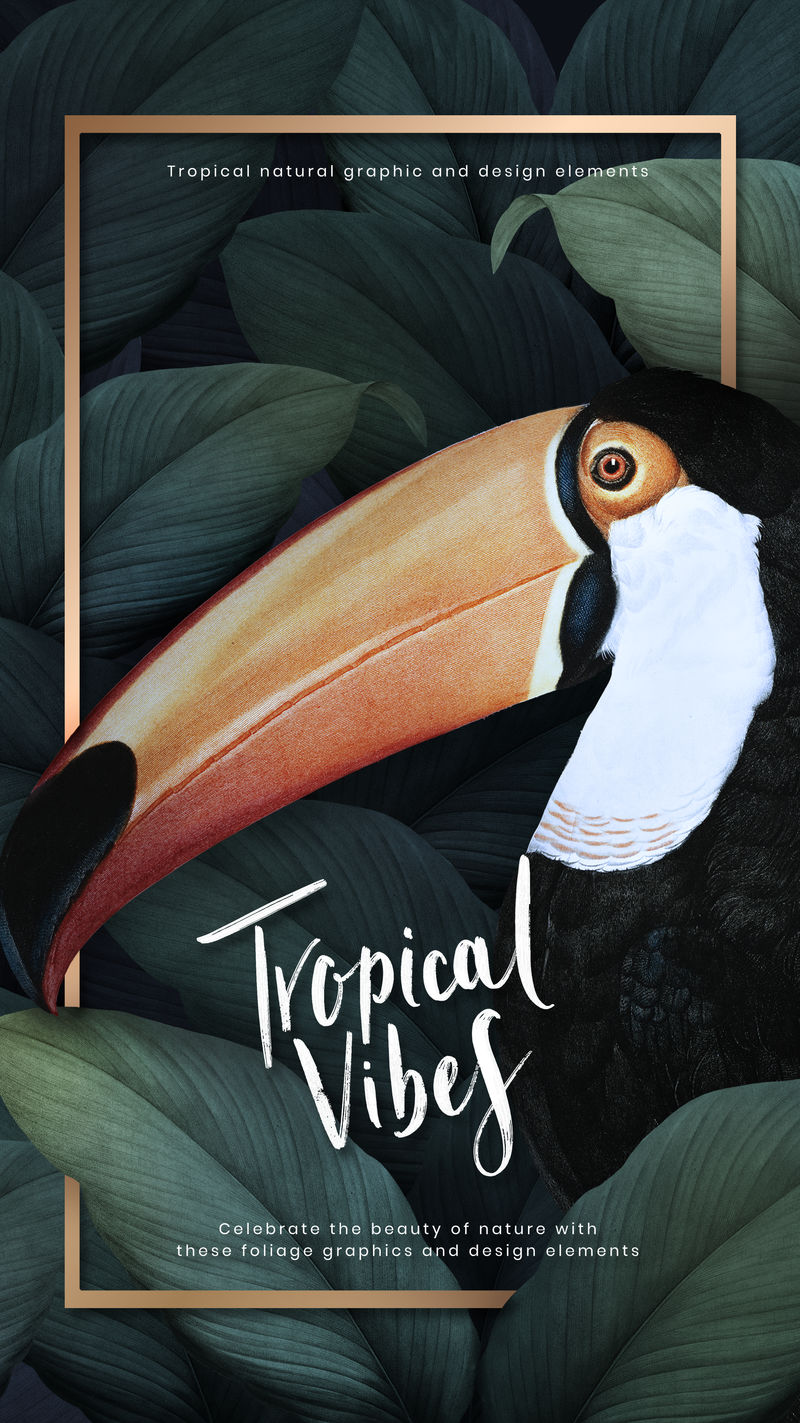 金色框架上的热带金刚鹦鹉插图