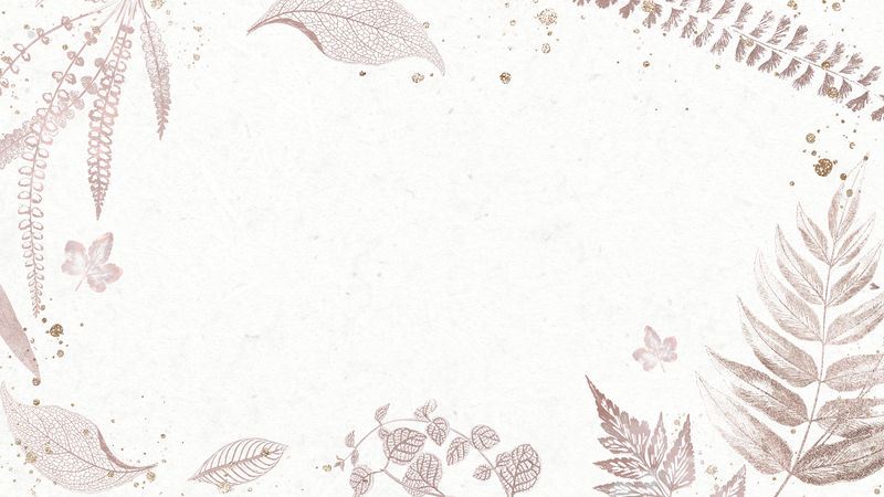 蕨类植物在灰白色背景设计资源上留下框架