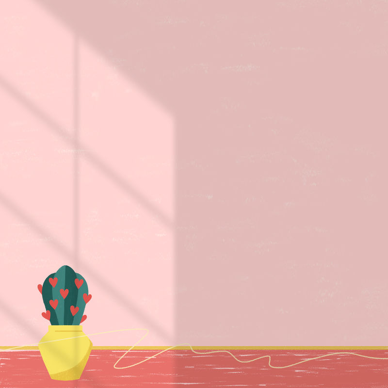 仙人掌与自然阳光插图