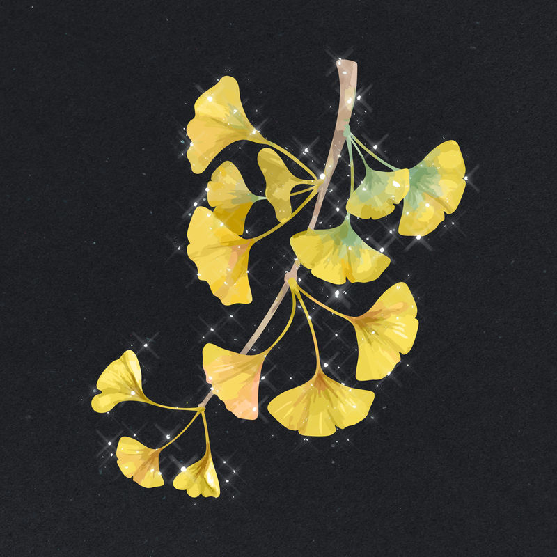 手绘闪耀银杏花设计元素