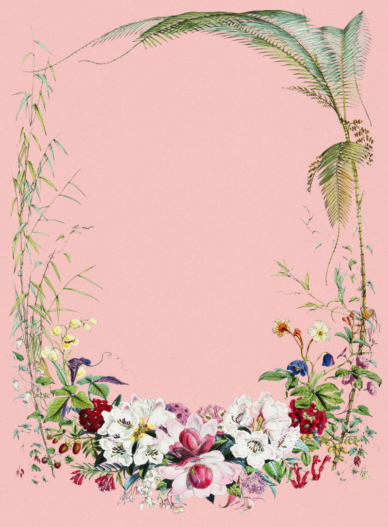 喜马拉雅植物的复古插图