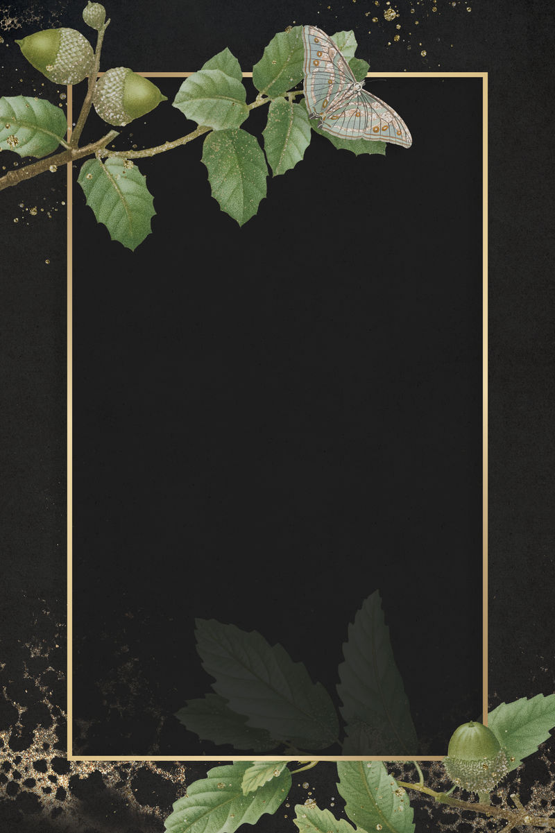 手绘橡木叶图案黑色背景插图上有矩形金框