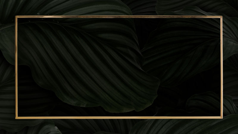 Calatea Orbifolia背景上的金框psd