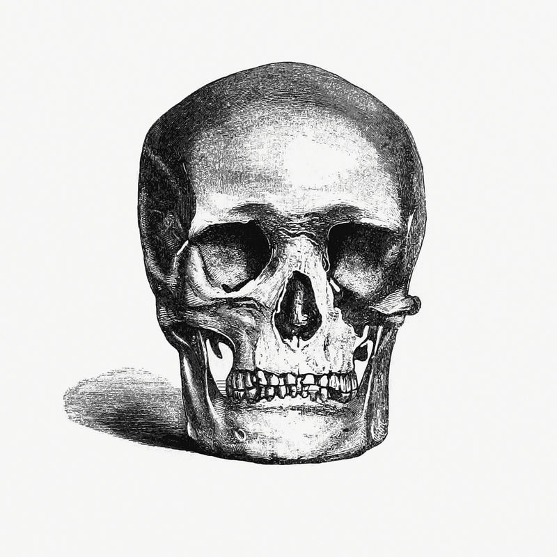 复古欧式头骨雕刻