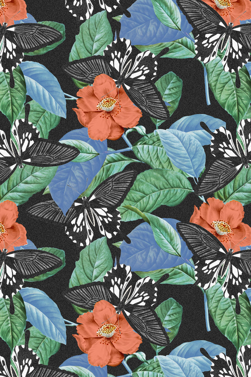 复古蝴蝶psd花卉图案由博物学家'混合而成；乔治·肖的《美国杂集》