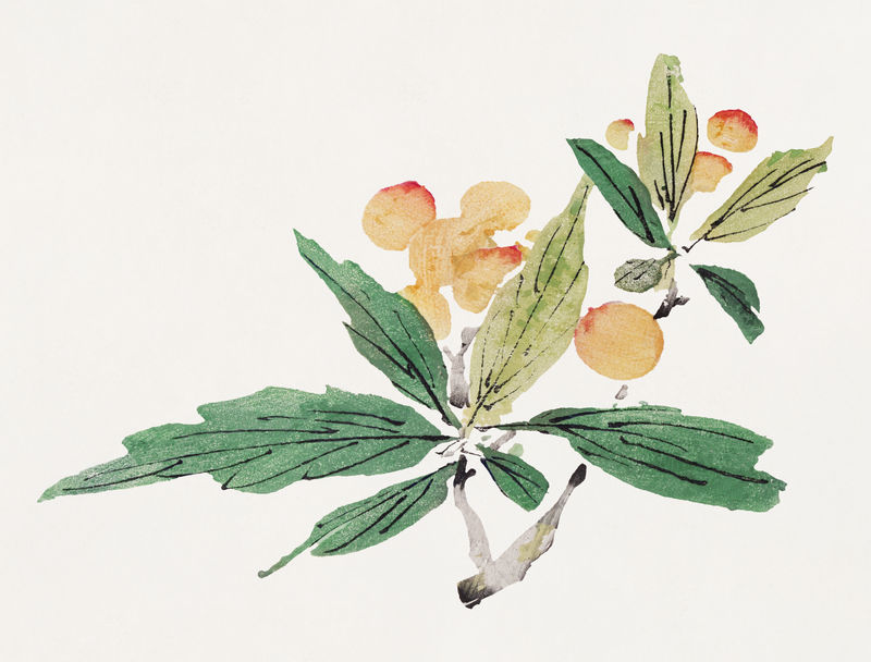 水果psd植物艺术版画胡正彦艺术作品的混合